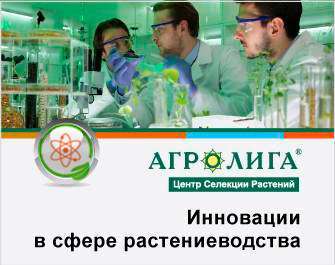 Исследования и разработки – «АГРОЛИГА ЦЕНТР СЕЛЕКЦИИ РАСТЕНИЙ»