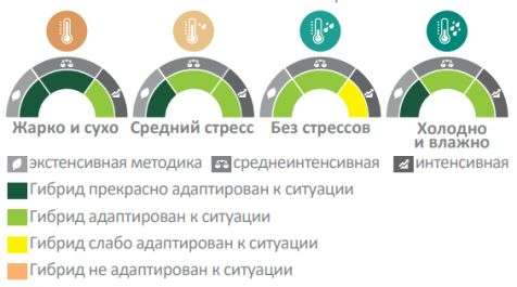 аргентик-схема