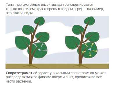 Ультор 2 Ультор 2