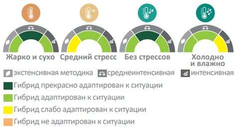 Ноамикс-схема Ноамикс-схема