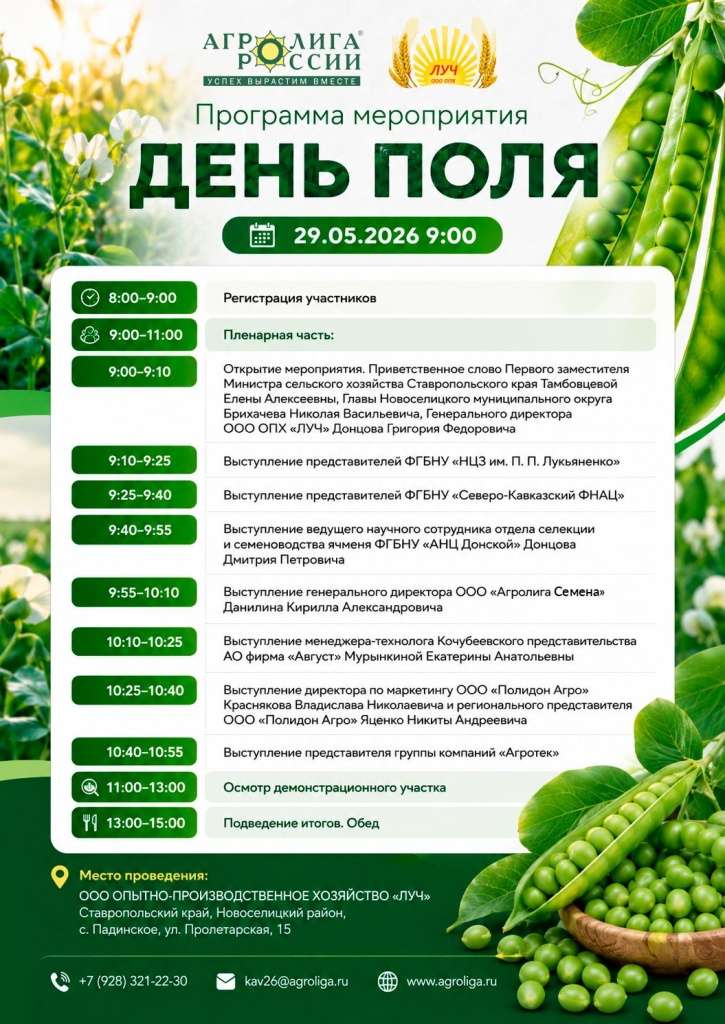 Программа дня Поля