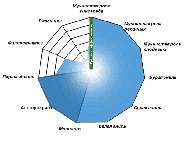 Луна Транквилити
