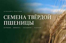 Семена твёрдой пшеницы от «Агролиги России»