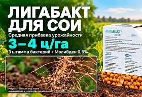 Лигабакт для сои: азотное питание начинается с семян