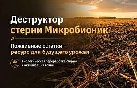 Деструктор стерни Микробионик: пожнивные остатки — ресурс для будущего урожая