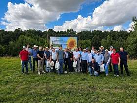 «День подсолнечного поля» в Самарской области