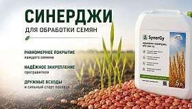 Синерджи для обработки семян