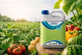 Текамин Вигор Плюс: усиление налива, ускорение созревания и повышение качества урожая